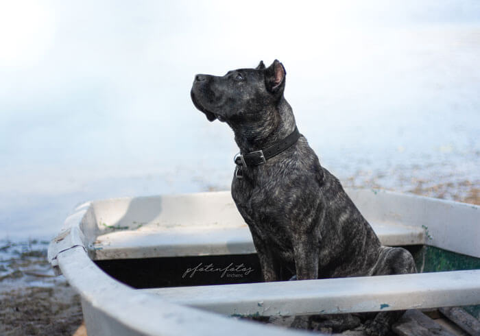 Bruna in einem Boot am See