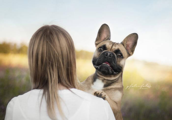 Hund und Halter