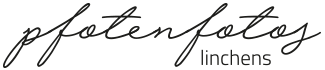 Das Logo von Pfotenfotos